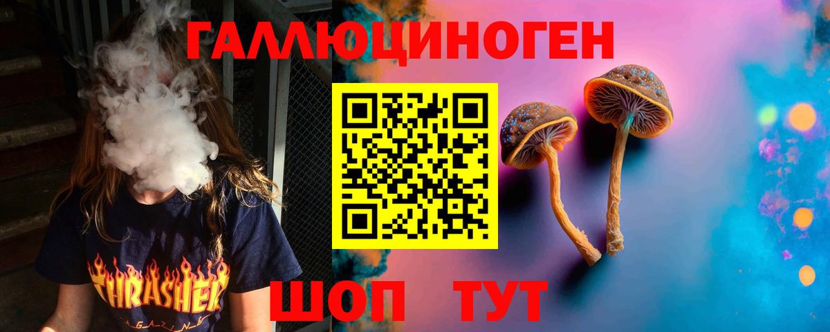Сухой Лог  Галлюциногенные грибы GOLDEN TEACHER  Вход с VPN 
